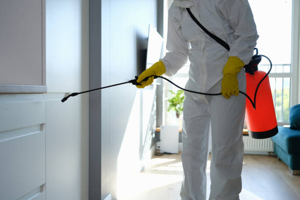 Mold Odor Removal Services in Longview, TX